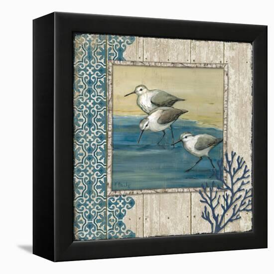 Sandpiper Shore II-Paul Brent-Framed Stretched Canvas