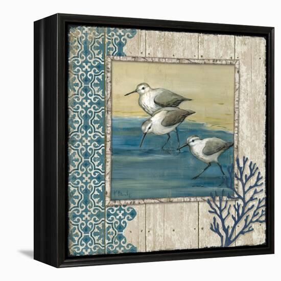 Sandpiper Shore II-Paul Brent-Framed Stretched Canvas