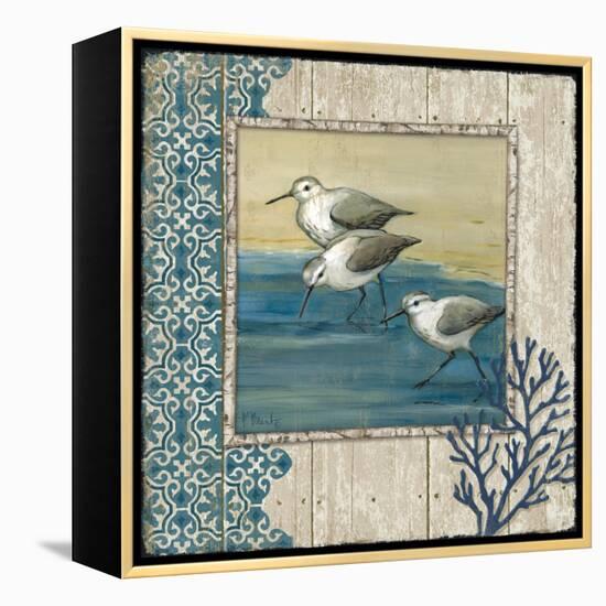 Sandpiper Shore II-Paul Brent-Framed Stretched Canvas