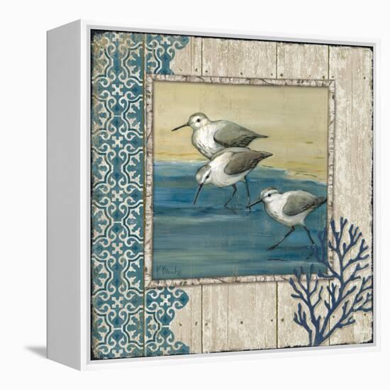 Sandpiper Shore II-Paul Brent-Framed Stretched Canvas