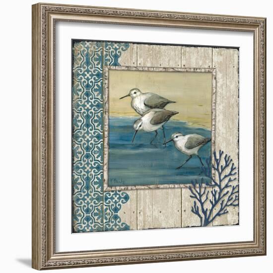 Sandpiper Shore II-Paul Brent-Framed Art Print