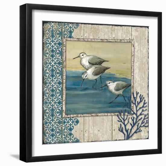 Sandpiper Shore II-Paul Brent-Framed Art Print