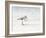 Sandpiper-Denise Brown-Framed Art Print