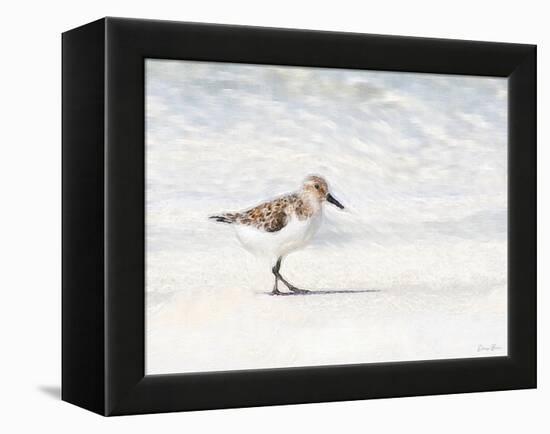 Sandpiper-Denise Brown-Framed Stretched Canvas