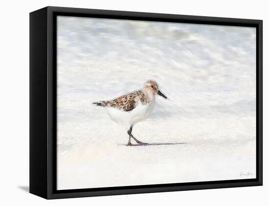 Sandpiper-Denise Brown-Framed Stretched Canvas