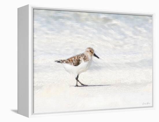 Sandpiper-Denise Brown-Framed Stretched Canvas