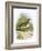 Sandpiper-English-Framed Giclee Print