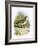 Sandpiper-English-Framed Giclee Print