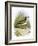 Sandpiper-English-Framed Giclee Print