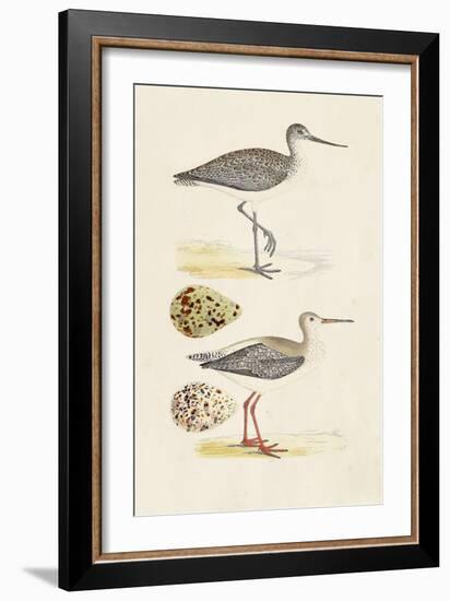 Sandpipers & Eggs I-Morris-Framed Art Print