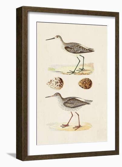 Sandpipers & Eggs II-Morris-Framed Art Print