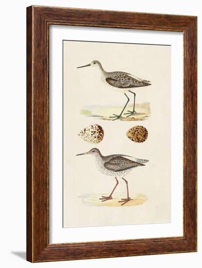 Sandpipers & Eggs II-Morris-Framed Art Print