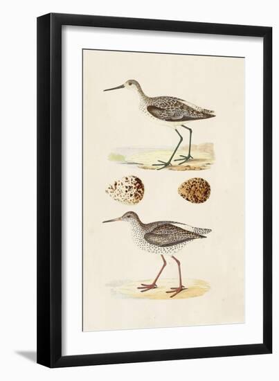 Sandpipers & Eggs II-Morris-Framed Art Print