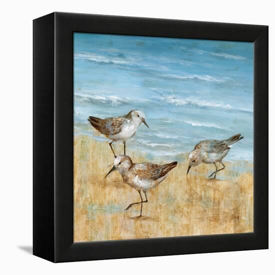 Sandpipers II-null-Framed Stretched Canvas