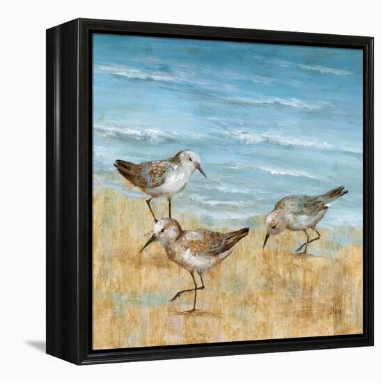 Sandpipers II-null-Framed Stretched Canvas