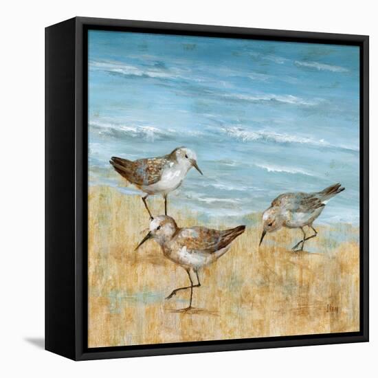 Sandpipers II-null-Framed Stretched Canvas