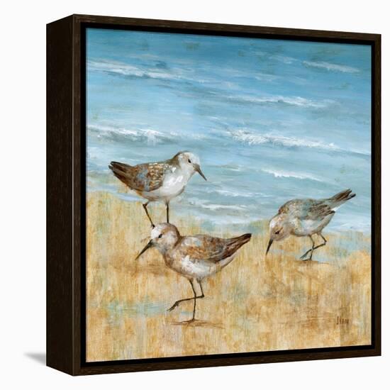 Sandpipers II-null-Framed Stretched Canvas