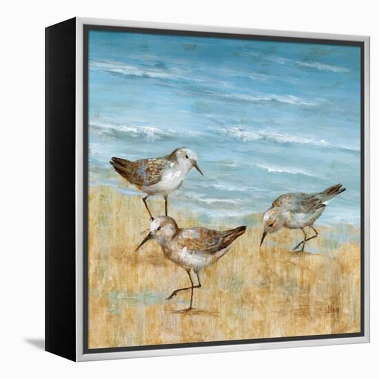 Sandpipers II-null-Framed Stretched Canvas