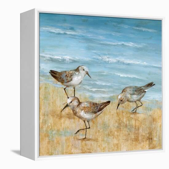 Sandpipers II-null-Framed Stretched Canvas