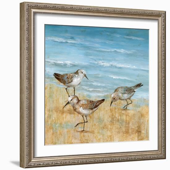 Sandpipers II-null-Framed Art Print