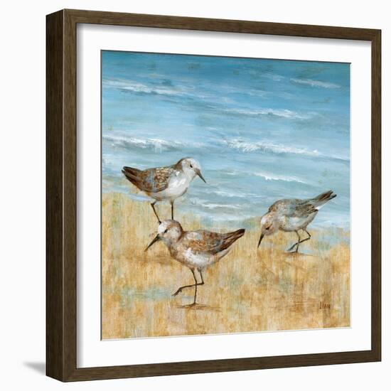 Sandpipers II-null-Framed Art Print