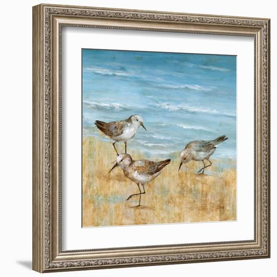 Sandpipers II-null-Framed Art Print