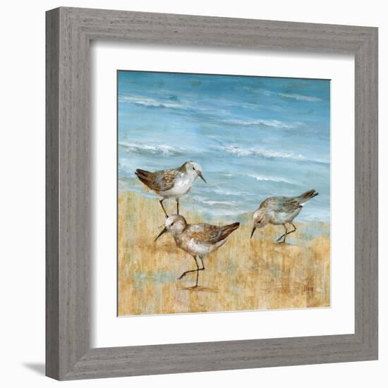 Sandpipers II-null-Framed Art Print