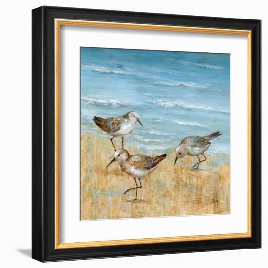 Sandpipers II-null-Framed Art Print