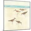 Sandpipers Square II-Avery Tillmon-Mounted Art Print