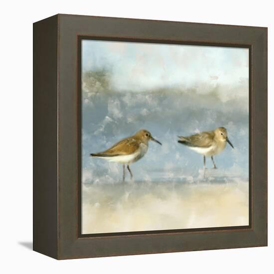 Sandpipers-Kimberly Allen-Framed Stretched Canvas