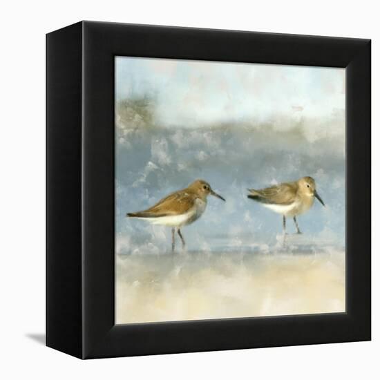 Sandpipers-Kimberly Allen-Framed Stretched Canvas