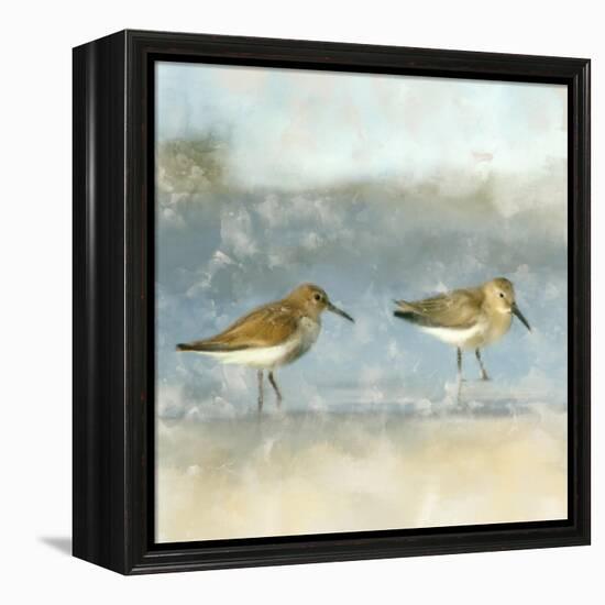 Sandpipers-Kimberly Allen-Framed Stretched Canvas