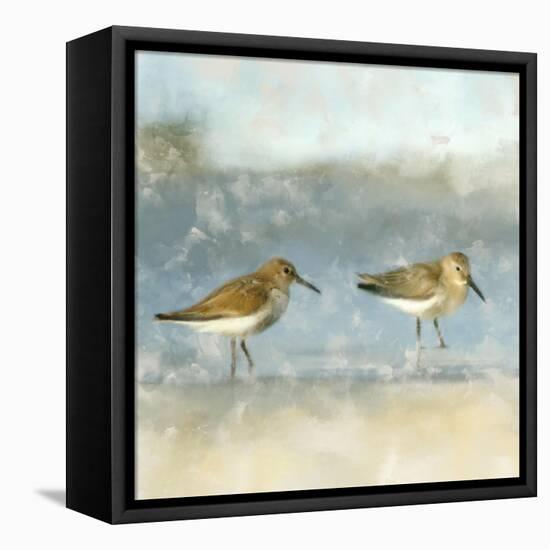 Sandpipers-Kimberly Allen-Framed Stretched Canvas