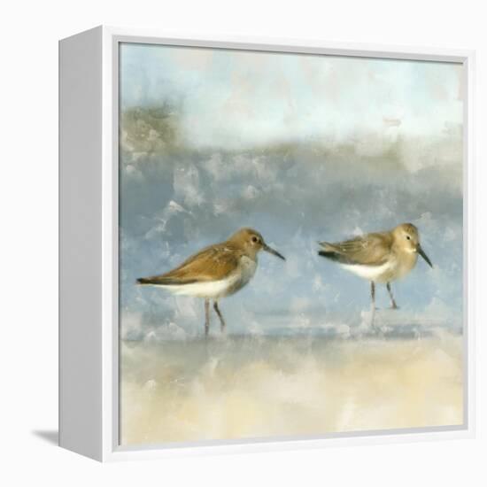 Sandpipers-Kimberly Allen-Framed Stretched Canvas