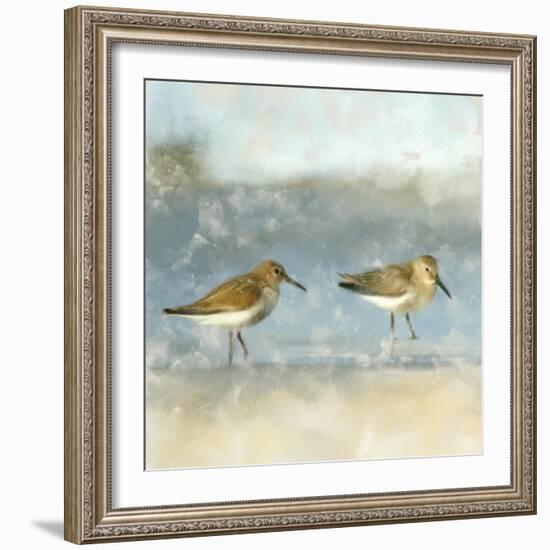 Sandpipers-Kimberly Allen-Framed Art Print