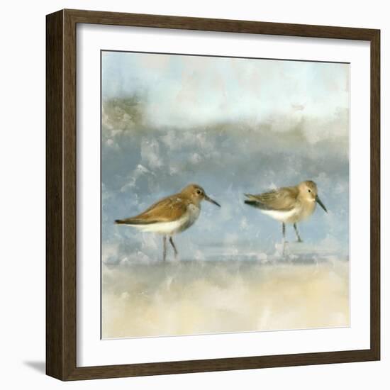 Sandpipers-Kimberly Allen-Framed Art Print