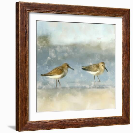 Sandpipers-Kimberly Allen-Framed Art Print