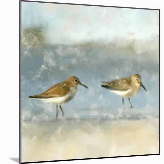 Sandpipers-Kimberly Allen-Mounted Art Print