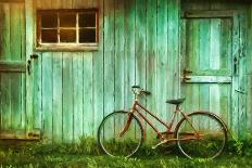 Old Bicycle Leaning against Grungy Barn-Sandra Cunningham-Photographic Print