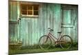 Photographic Print
