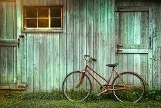 Old Bicycle Leaning against Grungy Barn-Sandra Cunningham-Photographic Print