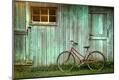 Photographic Print