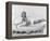 Sandra Dee-null-Framed Stretched Canvas