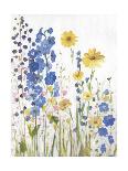 Periwinkle Wildflowers I-Sandra Iafrate-Art Print