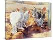 Stretched Canvas Print