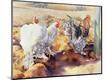 Giclee Print