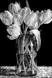 Nine Tulips-Sandra Willard-Giclee Print