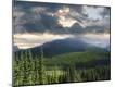 Photographic Print