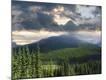 Photographic Print
