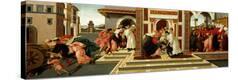 Stretched Canvas Print